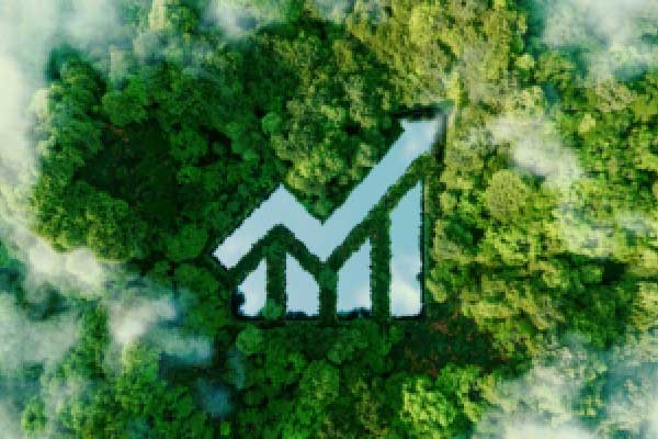 苹果发布两款新iPad，有一台没有为AI准备好(2025年03月05日)
